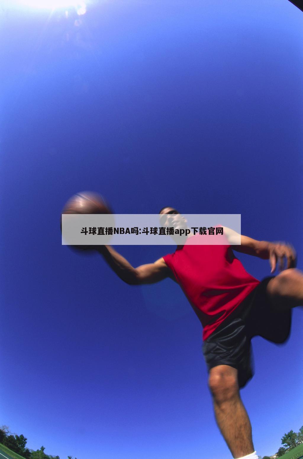 斗球直播NBA吗:斗球直播app下载官网